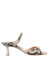 Bianca Buccheri Nova python