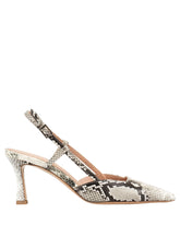 Bianca Bucheri Ester Python