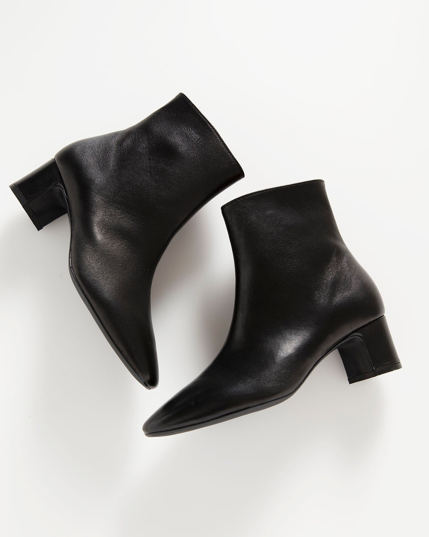 Bianca Buccheri Amelia Black