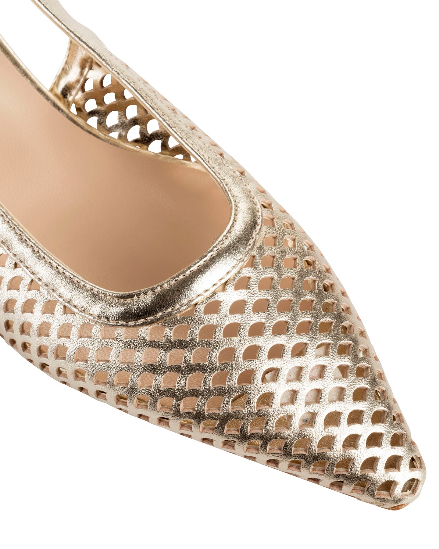 Bianca Buccheri Gemima Gold