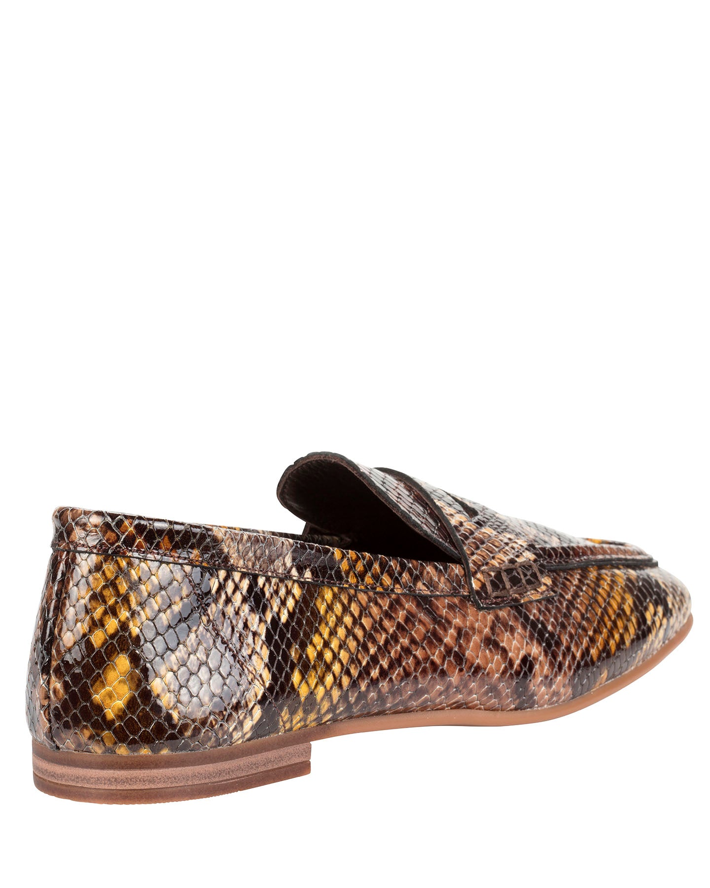 Dolci Firme Whitney Snake Loafer