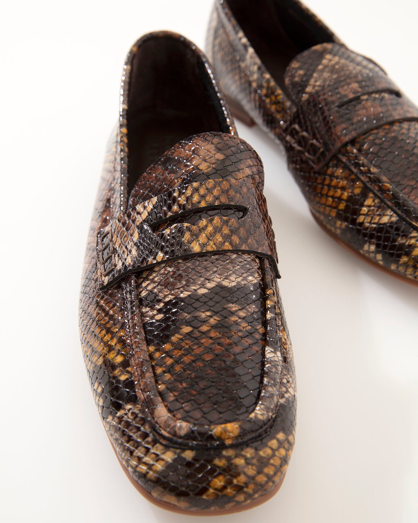 Dolci Firme Whitney Snake Loafer
