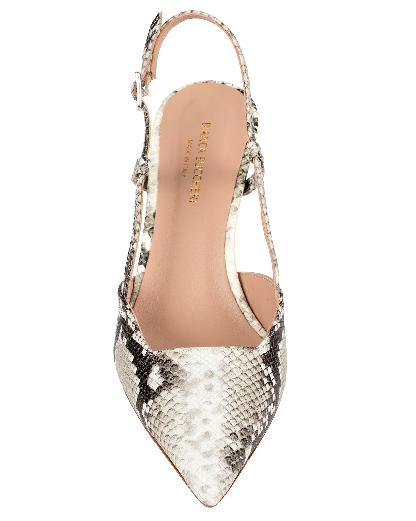 Bianca Bucheri Ester Python