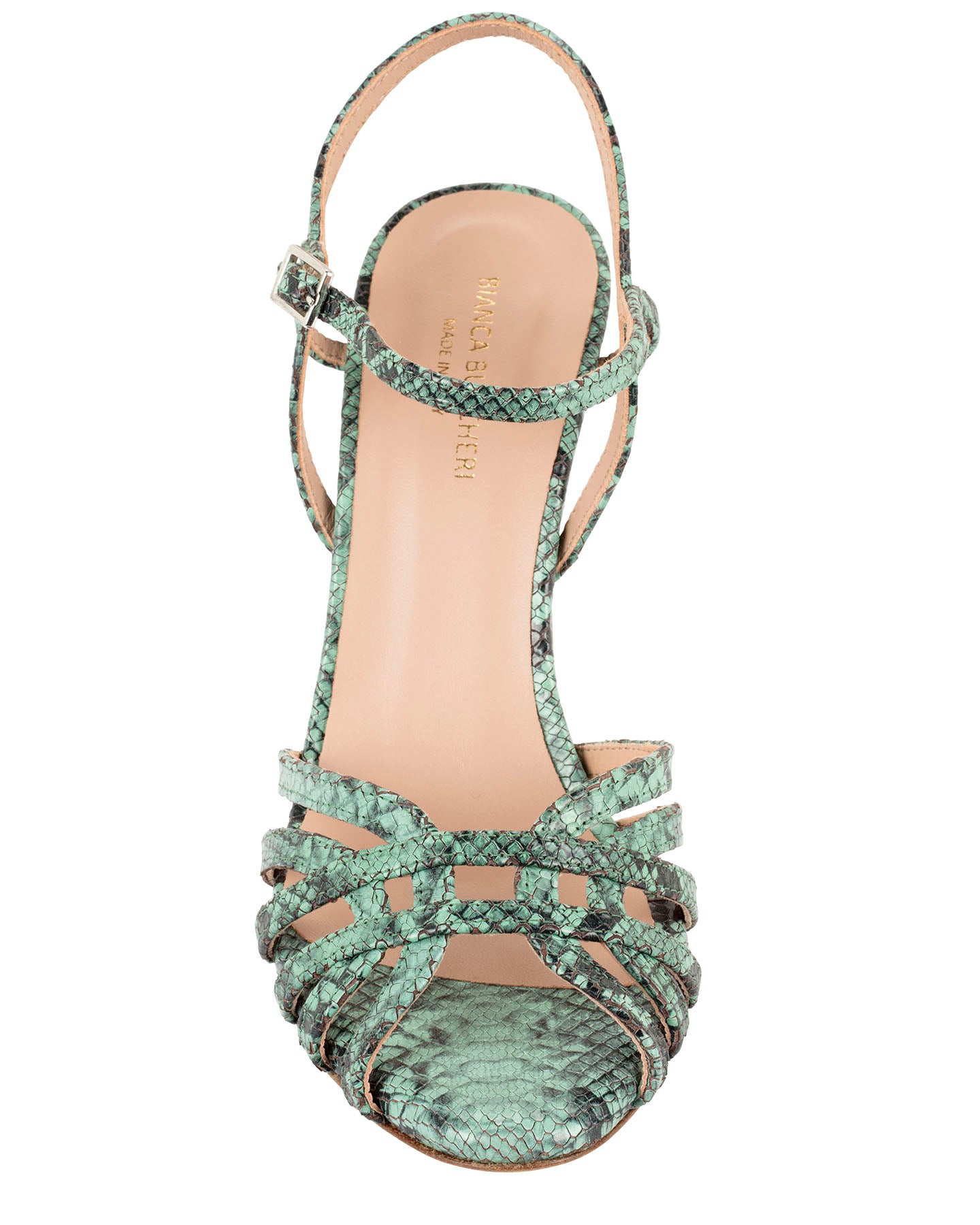 Bianca Buccheri Ivy Python