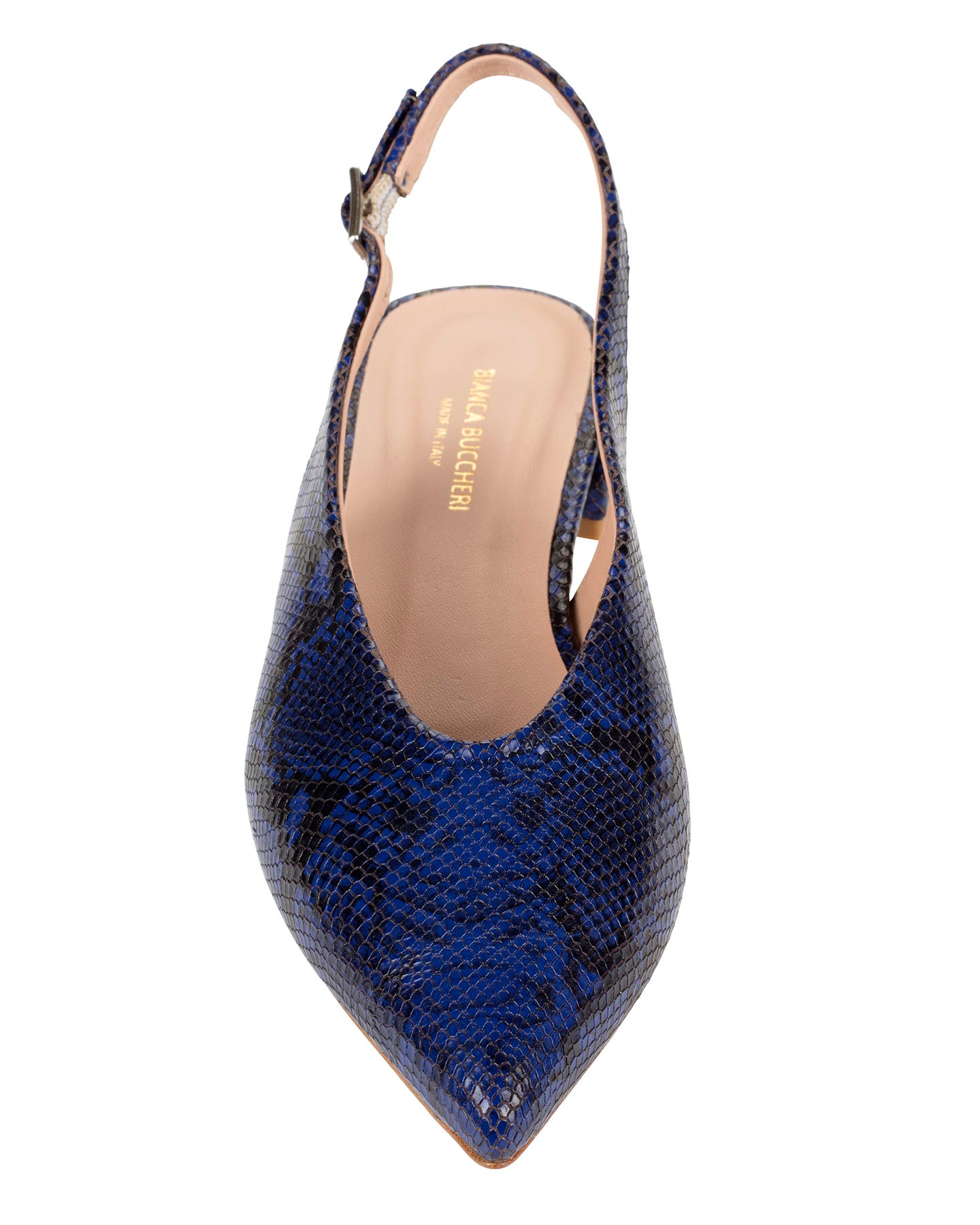 Bianca Buccheri Chels Python