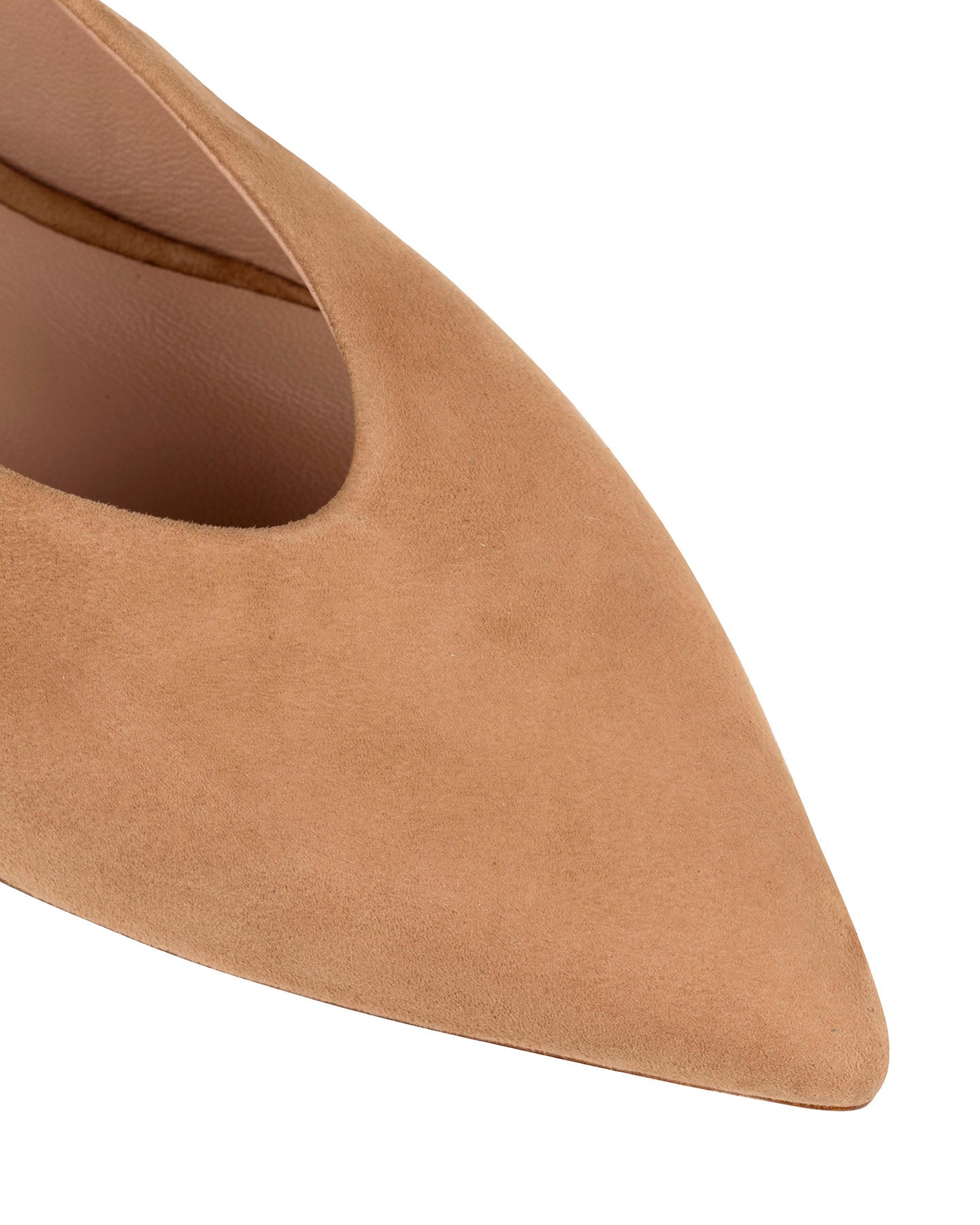 Bianca Buccheri Chels Camel