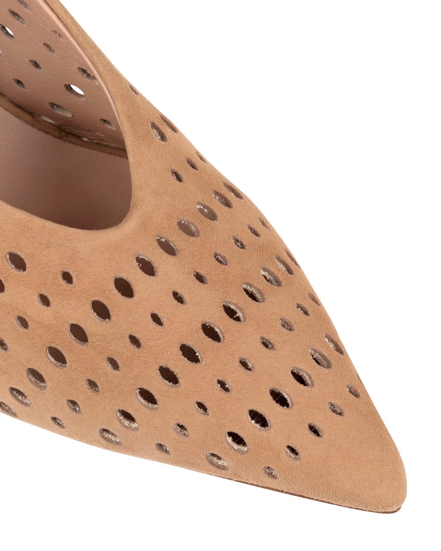 Bianca Buccheri Juno Camel