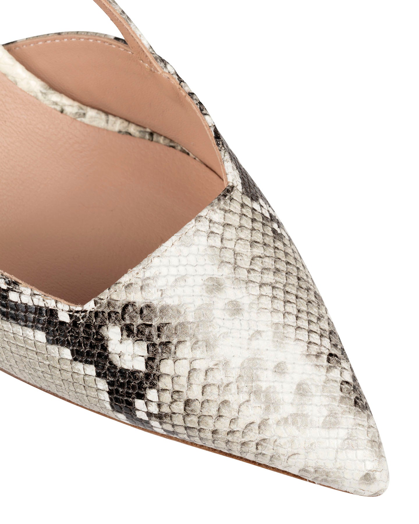 Bianca Bucheri Ester Python