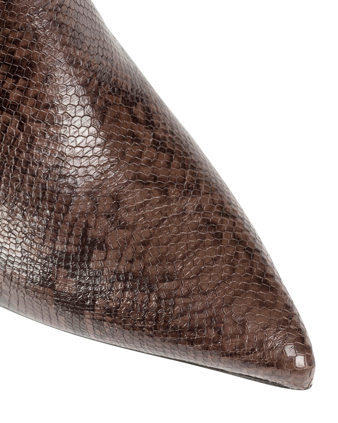 Bianca Buccheri Tarsha Python