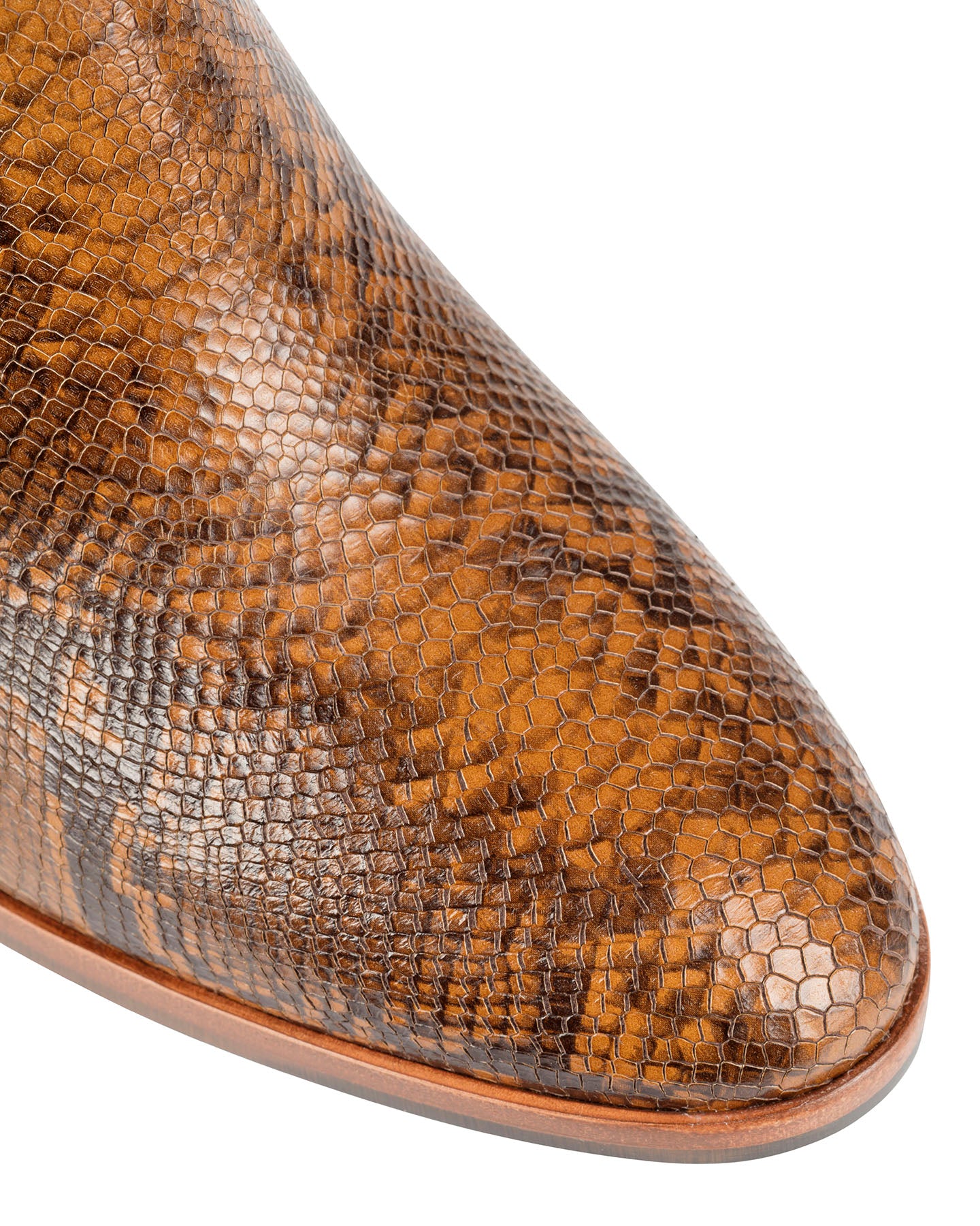 Bianca Buccheri Gamira Snake