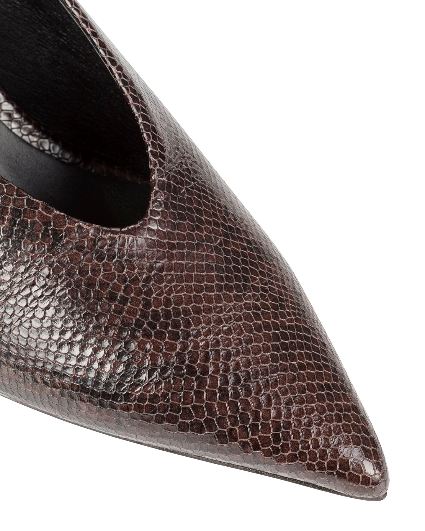 Bianca Buccheri Tati Brown Snake