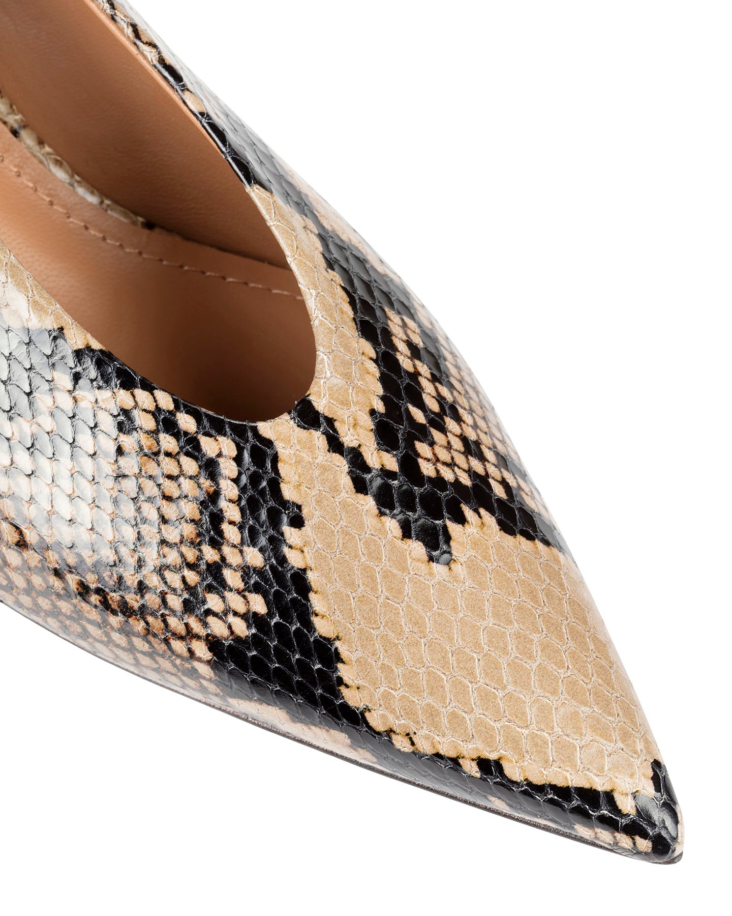 Bianca Buccheri Vipera Python