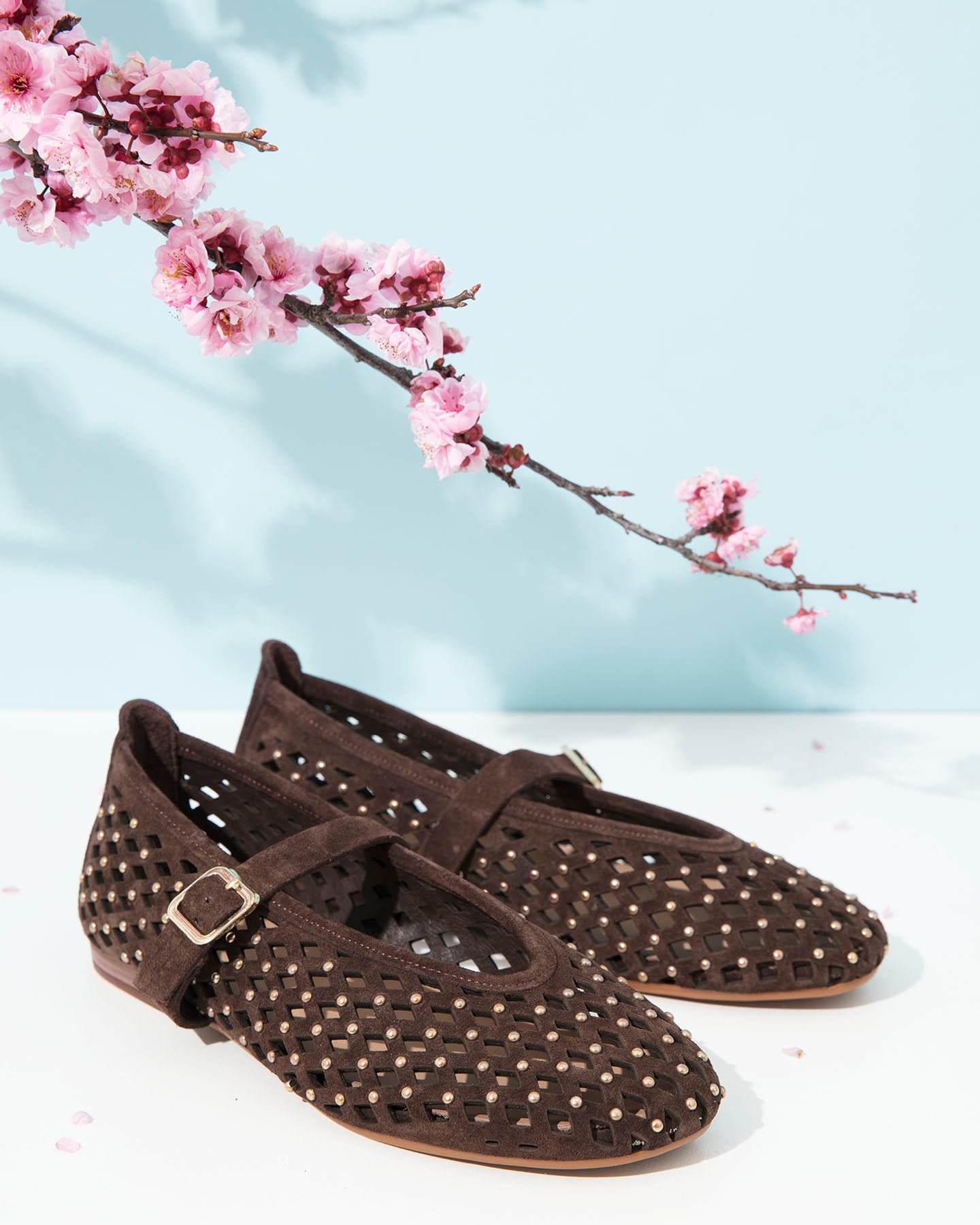 Dolci Firme Monty Choc Studded Suede Mary Jane Flat