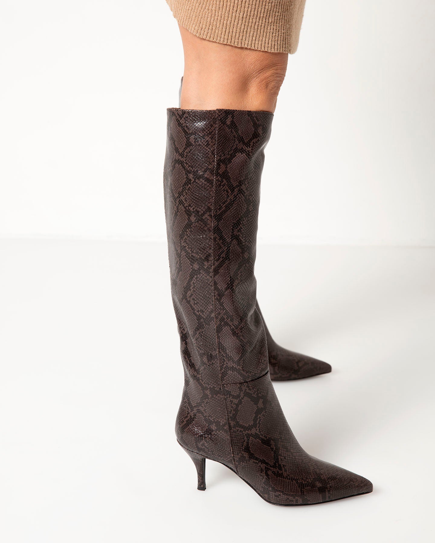 Bianca Buccheri Tarsha Python